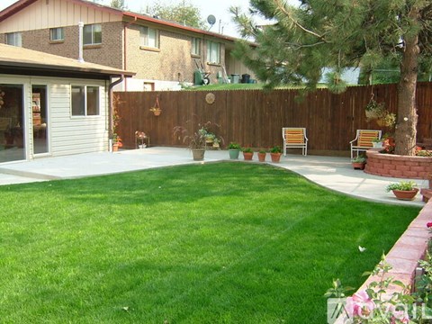 A backyard with a lawn and a fence.