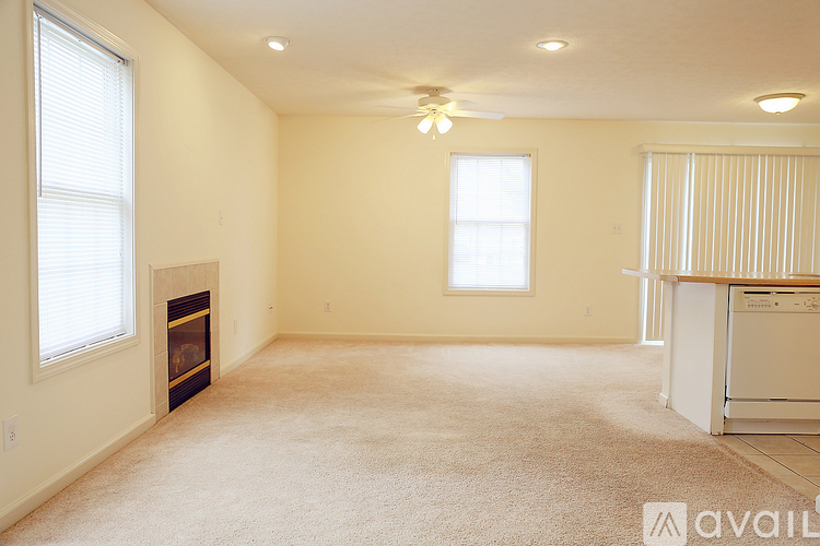 A spacious room with a carpeted floor, a fireplace, and a washer and dryer in the corner.