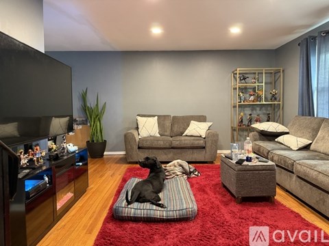 A living room with a grey couch, a red rug, and a black dog.