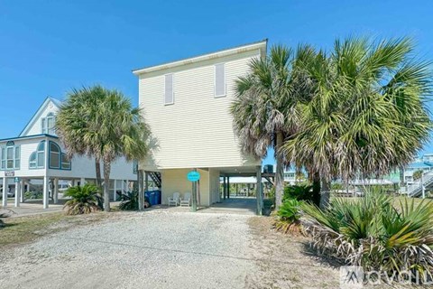 A house with a driveway and palm trees in front.
