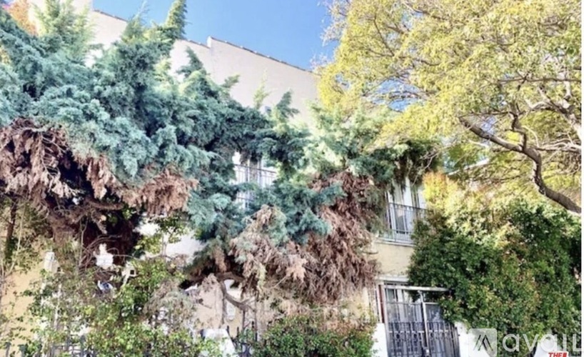 A tree with green leaves is in front of a building.