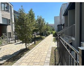A sunny day in a residential area with apartment buildings on both sides of a paved walkway.