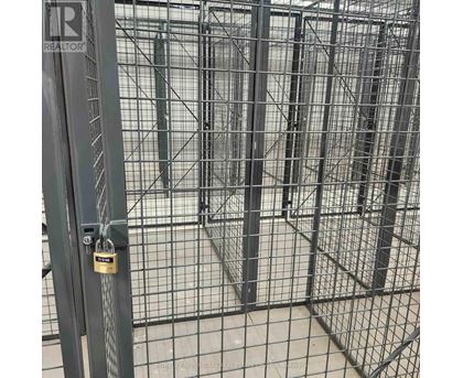 A metal gate with a lock is closed.