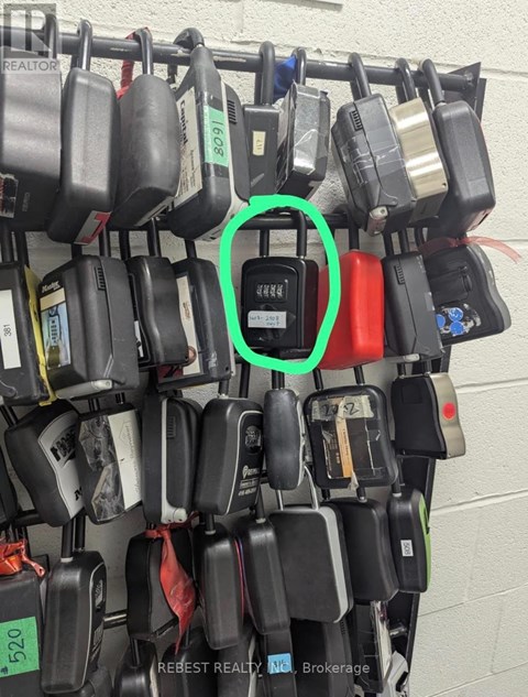 A bunch of padlocks are hanging on a wall, one of them is circled in green.