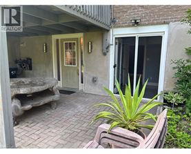A patio with a bench and a plant.