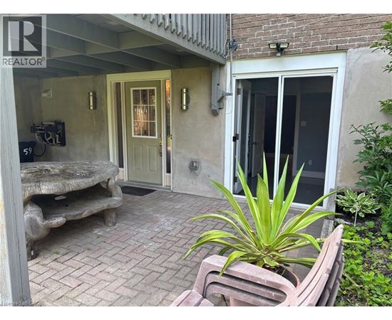 A patio with a bench and a plant.
