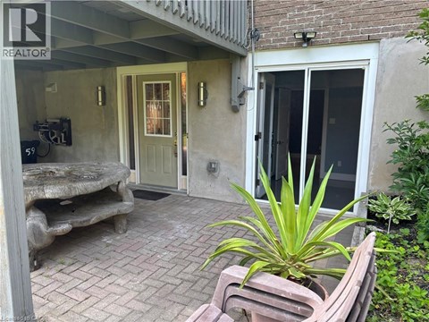 A patio with a bench and a plant.