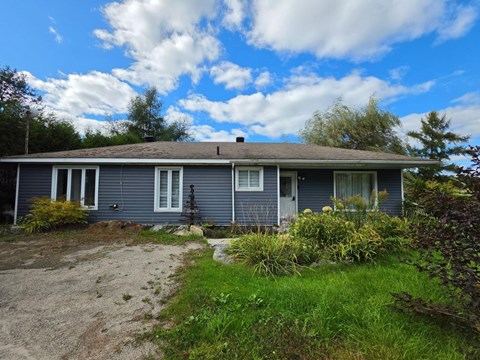 A house with a grey roof and a blue wall is surrounded by greenery.