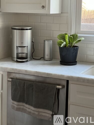 A kitchen counter with a potted plant, a coffee maker, and a toaster.