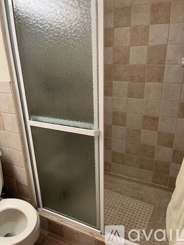 A bathroom with a toilet, a shower with a glass door, and tiled walls.