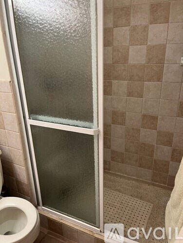 A bathroom with a toilet, a shower with a glass door, and tiled walls.