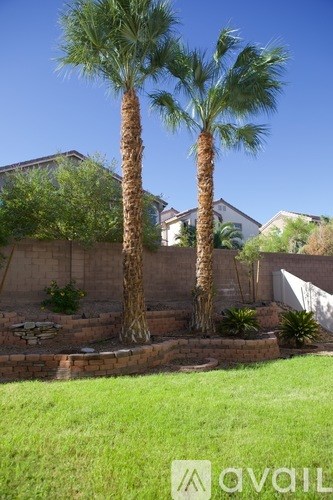 Two palm trees in a garden with a house in the background.