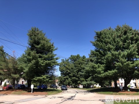 A street view with cars parked on the side and trees lining the road.