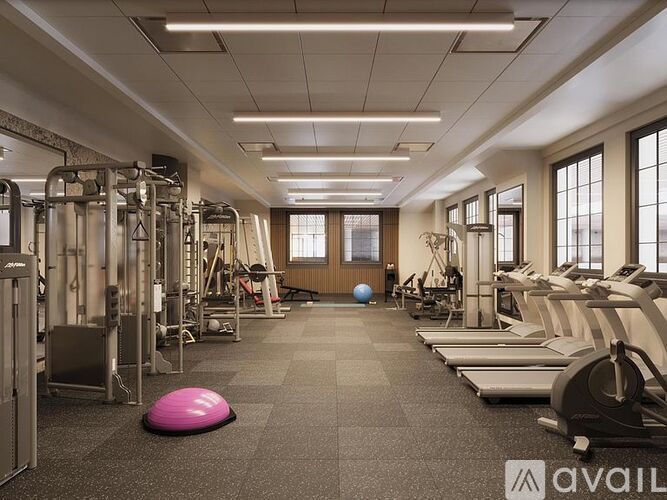 A gym with treadmills, weights, and exercise balls.