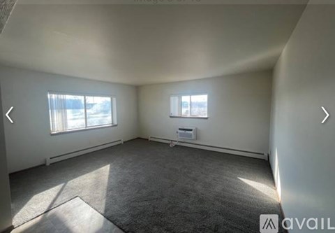 A room with grey carpet and two windows.