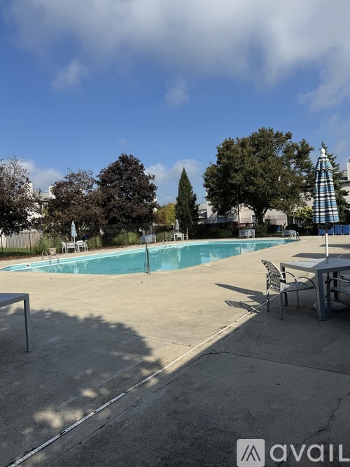 A pool surrounded by trees and a picnic table.