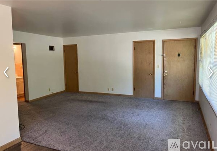 A room with a carpeted floor and three doors.