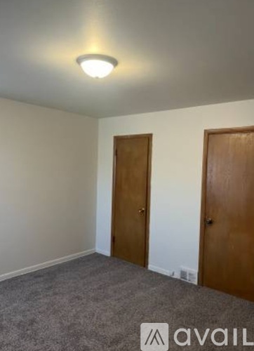 A room with two doors and a carpeted floor.