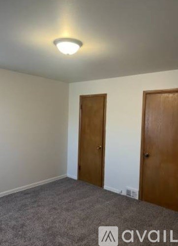 A room with two doors and a carpeted floor.
