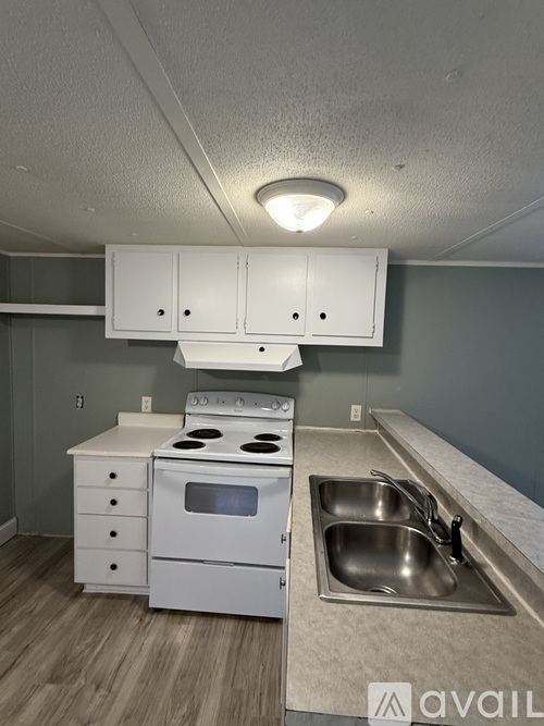 A kitchen with a stove, sink, and cabinets.