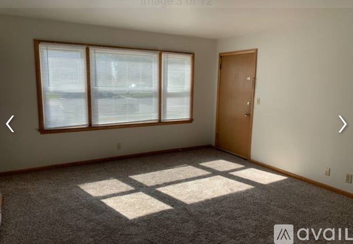 A room with a carpeted floor, a door, and three windows.