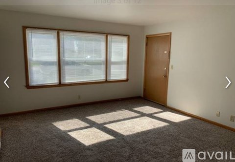 A room with a carpeted floor, a door, and three windows.