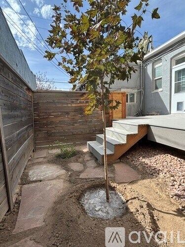 A tree in a backyard with a wooden fence and steps leading up to a house.