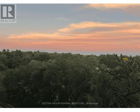 A forest of trees under a pink and blue sky.