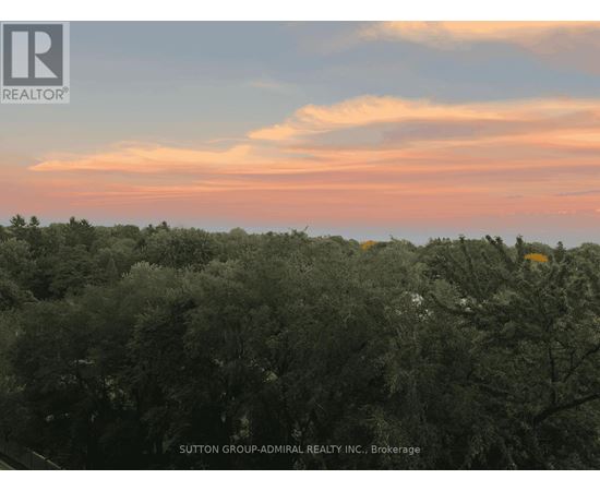 A forest of trees under a pink and blue sky.