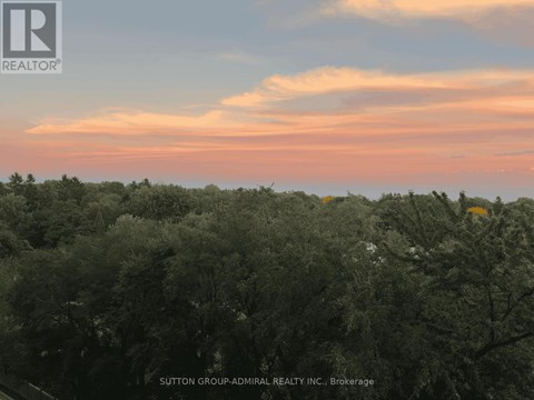 A forest of trees under a pink and blue sky.