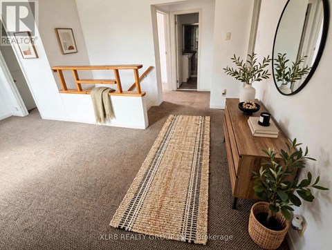 A room with a rug, a wooden bench, and a mirror.