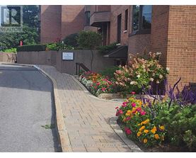 A street with a brick wall and a sign that says "RE/MAX Hallmark Realty Group Brokerage".