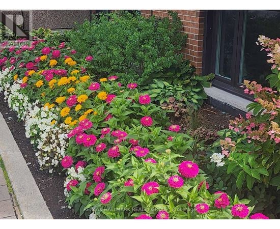 A flower bed with pink, yellow and white flowers.