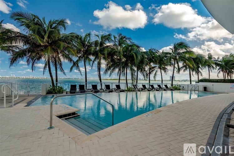 A pool surrounded by palm trees under a blue sky.