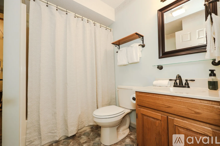 A bathroom with a toilet, sink, and shower curtain.