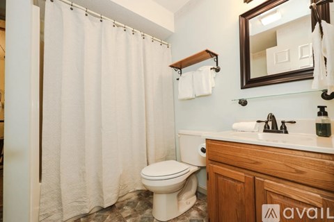 A bathroom with a toilet, sink, and shower curtain.