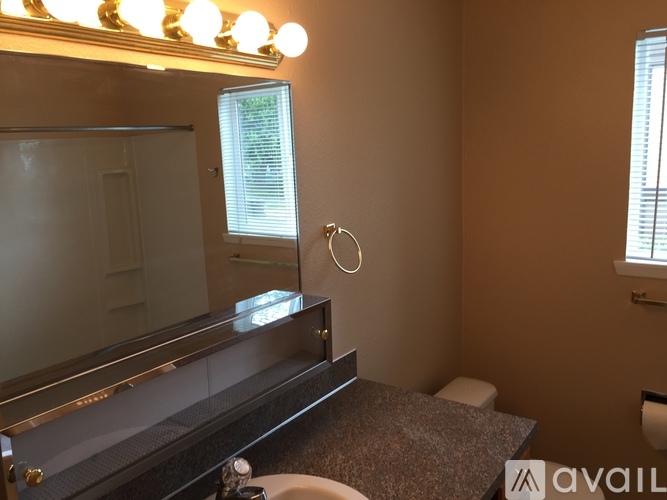 A bathroom with a vanity and a mirror.