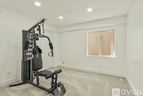 A home gym with a squat rack and a bench.