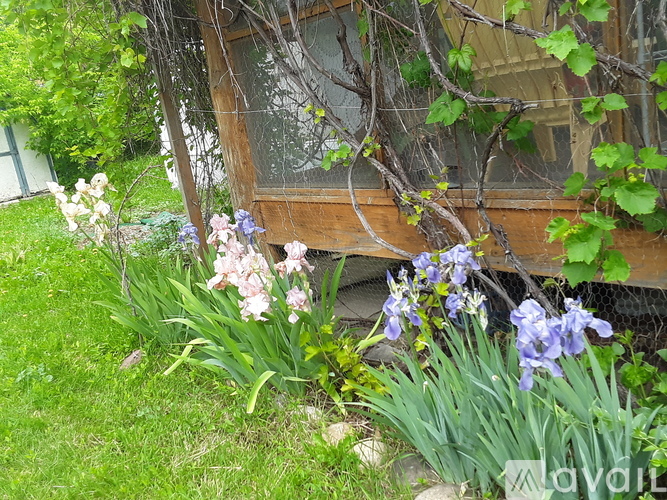 A garden with a wooden structure and flowers in front.