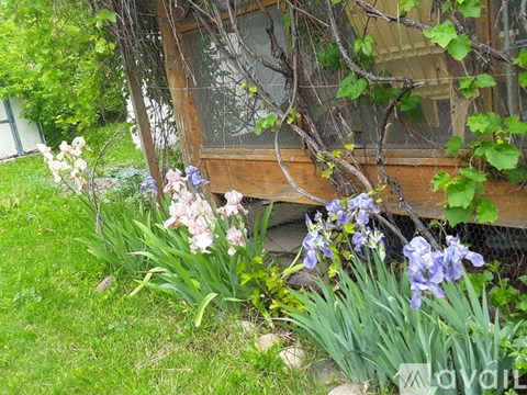 A garden with a wooden structure and flowers in front.
