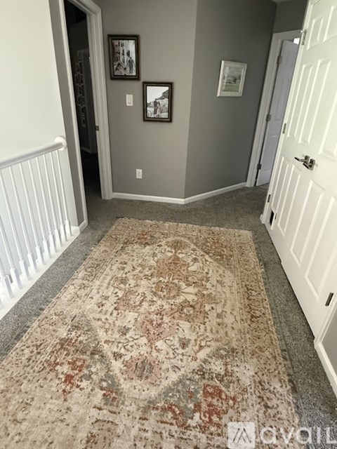 A hallway with a rug and two pictures on the wall.