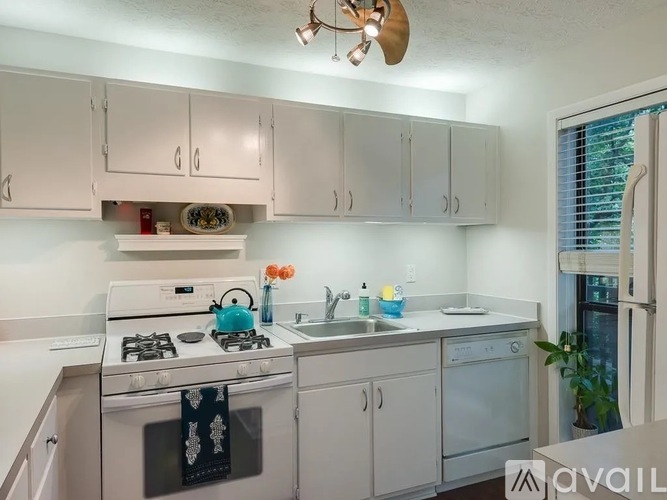 305 River Run Drive 2 Beds Single Family Home for Rent - Photo gallery 2