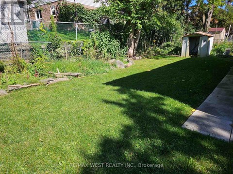 A backyard with a shed and a fence.