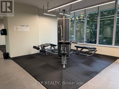 A gym room with a squat rack and bench.