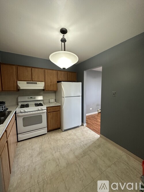 6670 South Brainard Avenue 1 Condo for Rent - Photo gallery 5