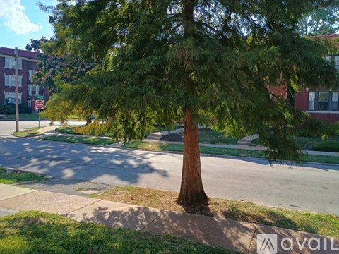 A tree in the middle of a street with a building in the background.