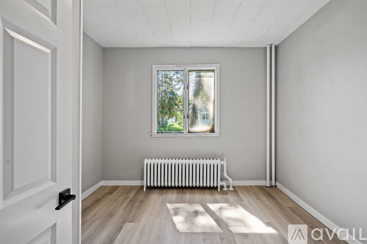 A room with a white door, a window with a view of trees, a white radiator, and a white rug.