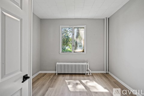 A room with a white door, a window with a view of trees, a white radiator, and a white rug.