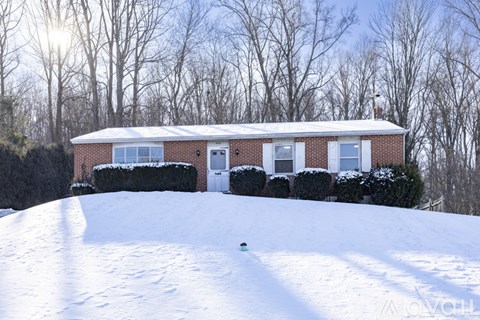 462 W Prospect Ave 4 Beds Apartment for Rent