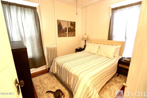 A bedroom with a bed, a cat, and two pictures on the wall.
